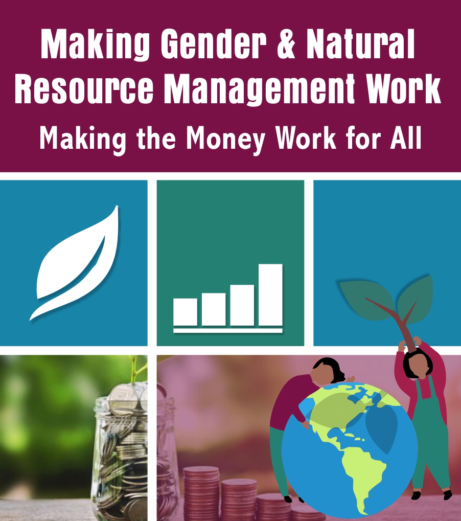 SAEDI Consulting Barbados Inc: Making Gender & Natural Resource Management Work